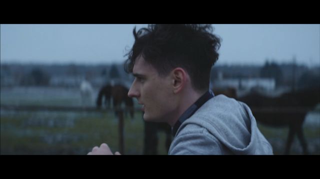 Zobaczcie premierowy teledysk Dawid Podsiadło - Forest!