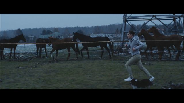 Zobaczcie premierowy teledysk Dawid Podsiadło - Forest!