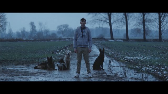 Zobaczcie premierowy teledysk Dawid Podsiadło - Forest!