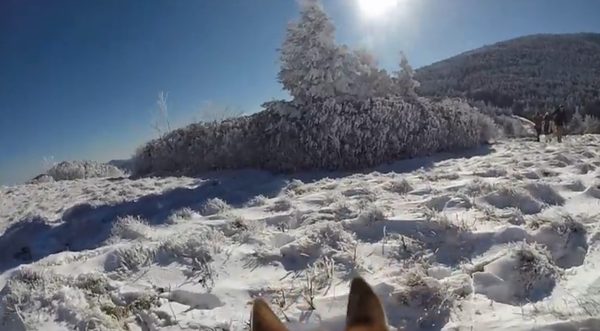 To był naprawdę MAGICZNY ślub [VIDEO]