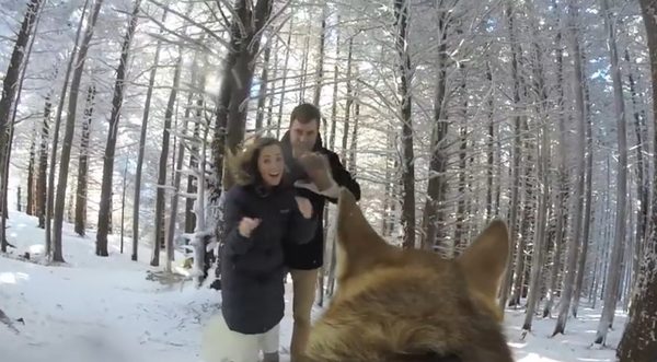 To był naprawdę MAGICZNY ślub [VIDEO]