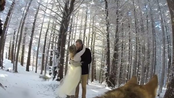 To był naprawdę MAGICZNY ślub [VIDEO]