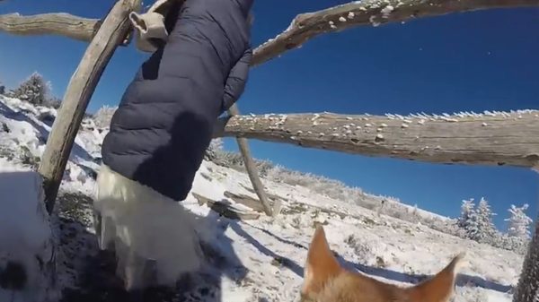 To był naprawdę MAGICZNY ślub [VIDEO]