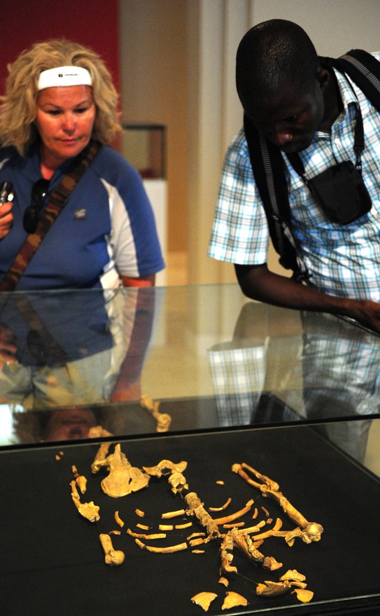 Kim jest Lucy Australopithecus?