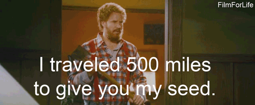 Mateusz Grzesiak - guru samorozwoju robi się lumberseksualny