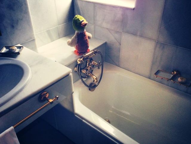 Marcin Tyszka kąpie swojego... ptaka (FOTO) Marcin Tyszka kąpie swojego... ptaka (FOTO)