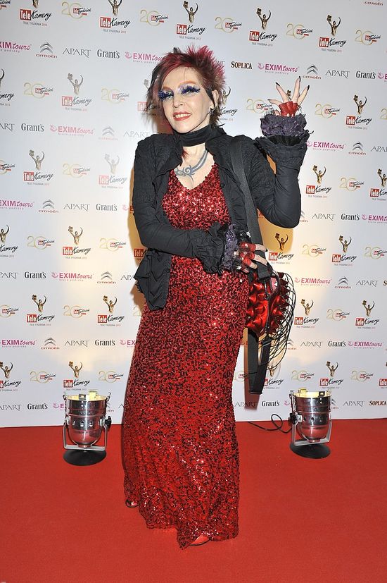 Gwiazdy gali Telekamery 2013 (FOTO)