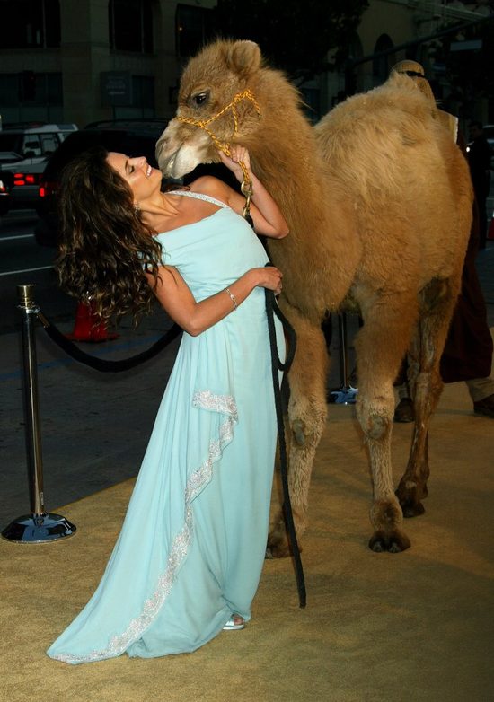 Matthew McConaughey wspomina gorący romans z Penelope Cruz