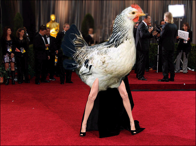 40. urodziny Angeliny Jolie.  Z niej też śmiał się internet