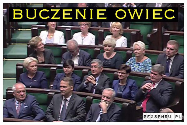 Memy po zaprzysiężeniu Andrzeja Dudy