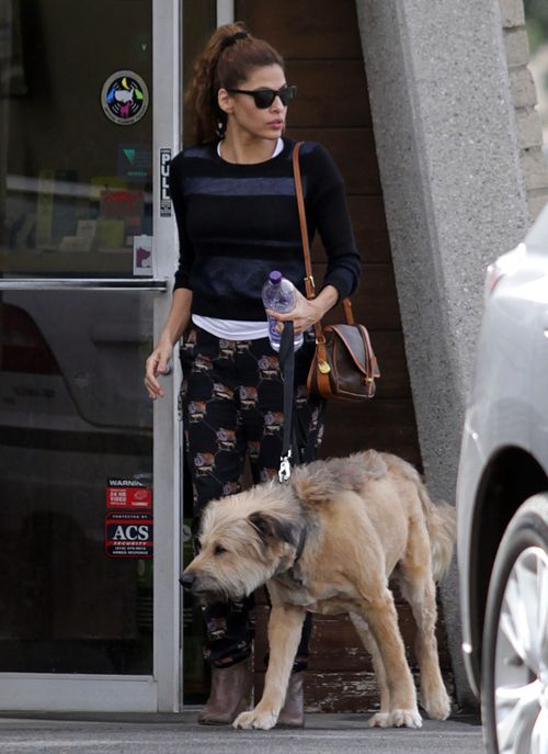 Eva Mendes z psem Ryana Goslinga