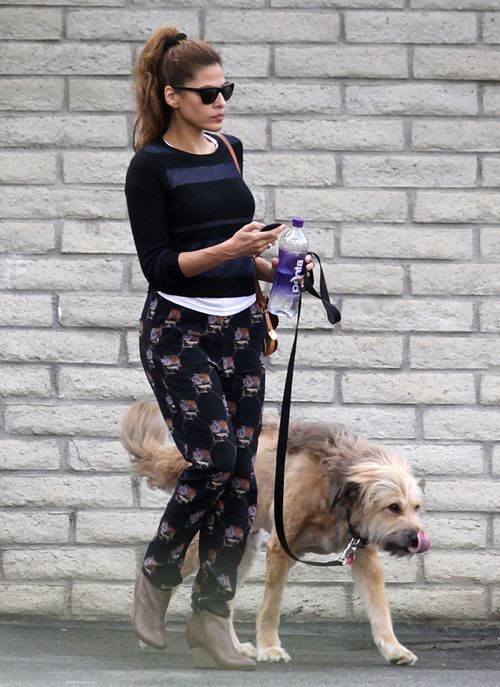 Eva Mendes z psem Ryana Goslinga