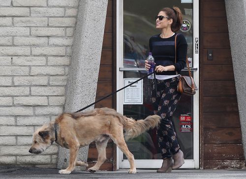 Eva Mendes z psem Ryana Goslinga