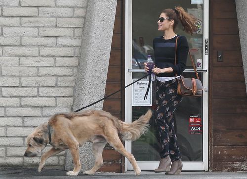 Eva Mendes z psem Ryana Goslinga