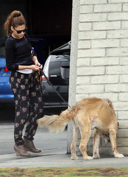 Eva Mendes z psem Ryana Goslinga