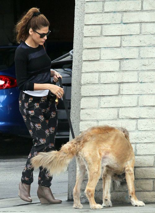 Eva Mendes z psem Ryana Goslinga
