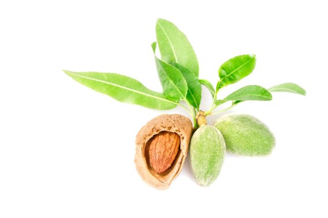 Jak pozbyłam się trądziku, czyli kwas migdałowy w kosmetyce Jak pozbyłam się trądziku, czyli kwas migdałowy w kosmetyce