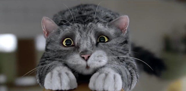 Zeszłoroczny filmik bił rekordy. Czy z tym też tak będzie? Zeszłoroczny filmik bił rekordy. Czy z tym też tak będzie?