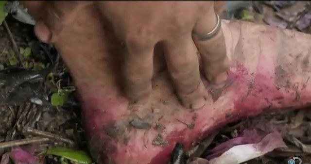 Show Siwiec i Warsaw Shore to przy tym pikuś (VIDEO)