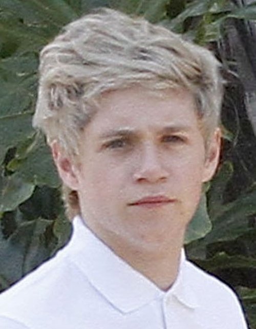 Demi Lovato na randce z Niallem z One Direction?