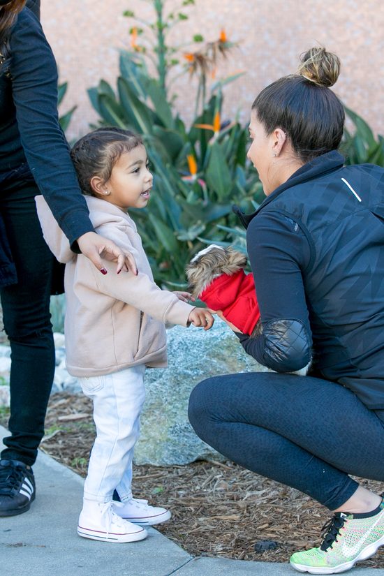 Nori na bogato, czyli mała dama w futrze (FOTO)