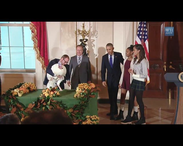 Znudzone i źle ubrane Obamówny podczas ułaskawiania indyka