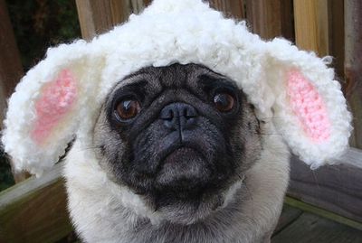 Kristen Stewart nie myje się i nie zmienia ubrań