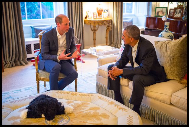 Tak wygląda dom, w którym Kate i William wychowują swoje dzieci (ZDJĘCIA)