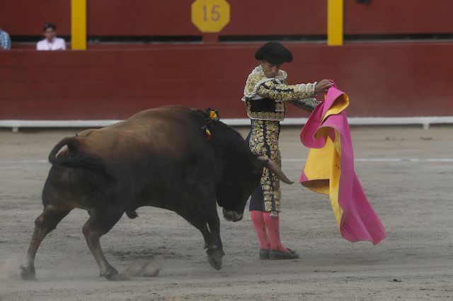 PRZERAŻAJĄCA śmierć na corridzie! Matador nie miał szans PRZERAŻAJĄCA śmierć na corridzie! Matador nie miał szans