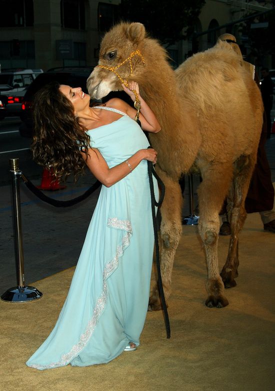 Penelope Cruz kończy dzisiaj 40 lat!