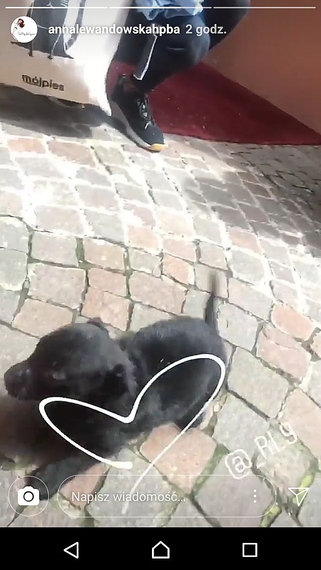 Anna Lewandowska na Instagramie poinformowała Roberta, że rodzina się POWIĘKSZA!