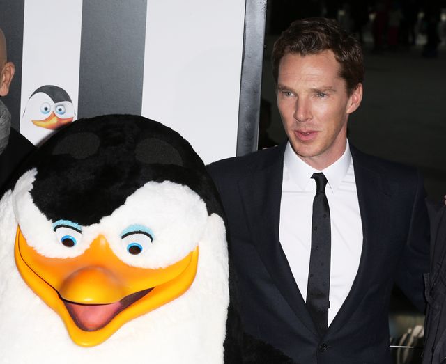 Malkovich i Cumberbatch na premierze Pingwinów (FOTO) Malkovich i Cumberbatch na premierze Pingwinów (FOTO)