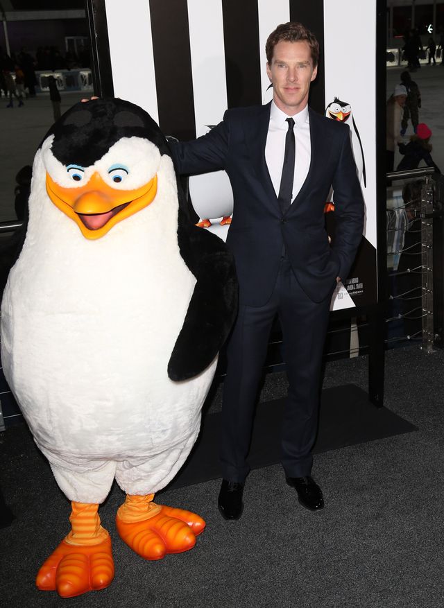 Malkovich i Cumberbatch na premierze Pingwinów (FOTO) Malkovich i Cumberbatch na premierze Pingwinów (FOTO)