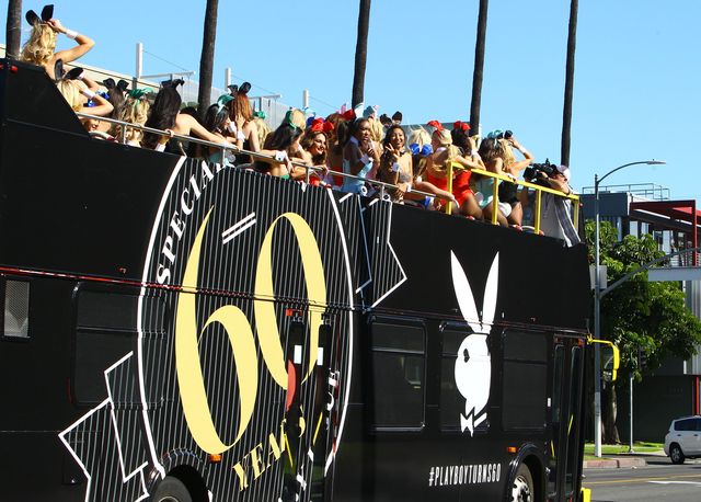 Autobus pełen króliczków Playboya (FOTO)