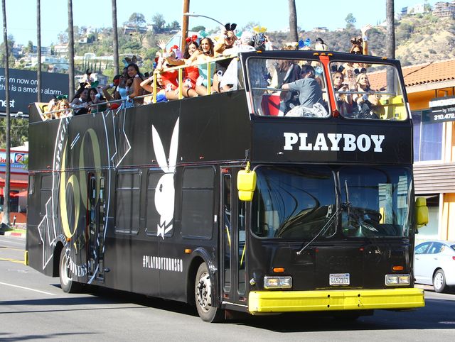 Autobus pełen króliczków Playboya (FOTO)