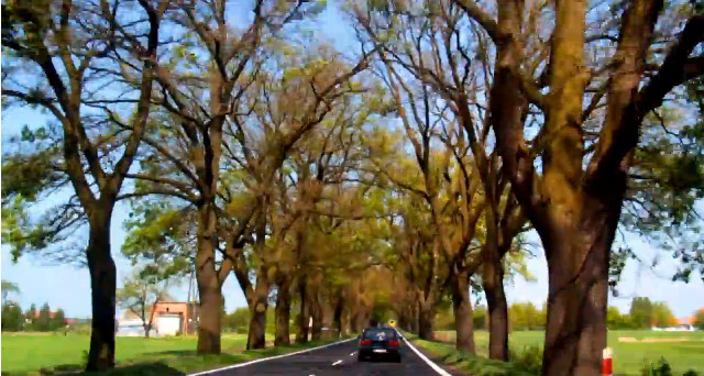 BiPoland, czyli Polska okiem Amerykanina (VIDEO) BiPoland, czyli Polska okiem Amerykanina (VIDEO)