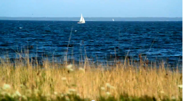 BiPoland, czyli Polska okiem Amerykanina (VIDEO) BiPoland, czyli Polska okiem Amerykanina (VIDEO)