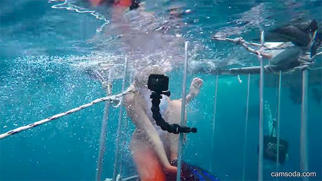 Porn Gwiazda zaatakowana przez REKINA! Przerażające wideo!