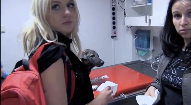 Pola Pospieszalska nagrała klip dla bezdomnych zwierząt 