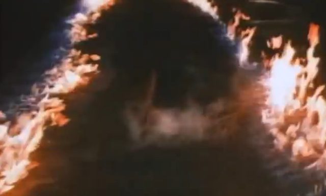 TO JUŻ DZIŚ! Powrót do przyszłości rozgrywał się 21.10.2015