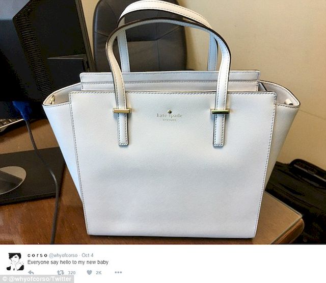 Ta torebka PODZIELIŁA Internautów! Jest niebieska, czy biała?