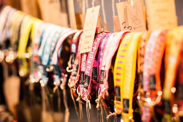 Twój pupil będzie miał wyjątkową obrożę, a Ty zrobisz coś dobrego (ZDJĘCIA)