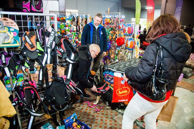 Twój pupil będzie miał wyjątkową obrożę, a Ty zrobisz coś dobrego (ZDJĘCIA)