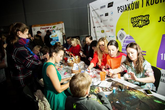 Twój pupil będzie miał wyjątkową obrożę, a Ty zrobisz coś dobrego (ZDJĘCIA)