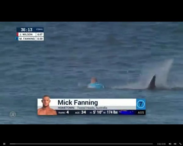 To teraz najpopularniejszy film w internecie. Szok! [VIDEO]