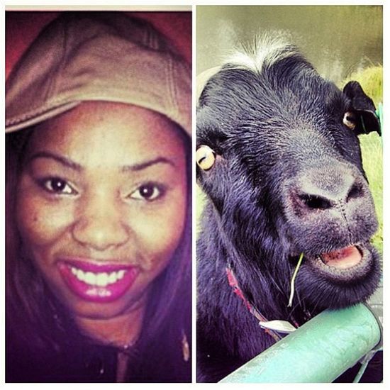 Rihanna publicznie szydzi z hejterki Rihanna publicznie szydzi z hejterki