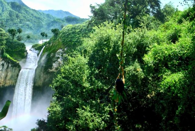 Już jest teledysk do Roar Katy Perry (VIDEO)  