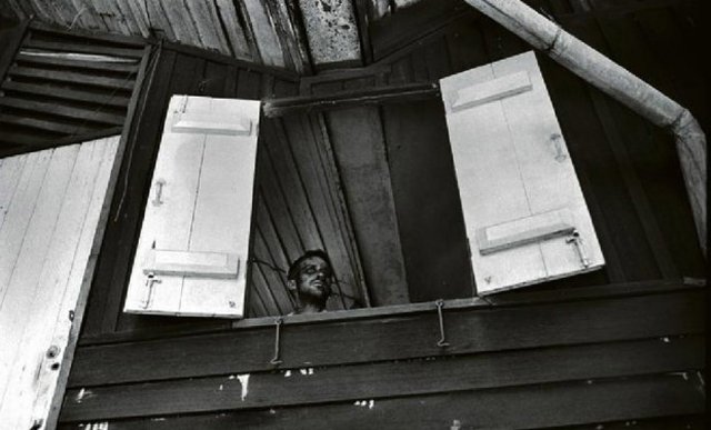 Zmasakrowana twarz Ryana Gosslinga na plakacie filmu (FOTO)