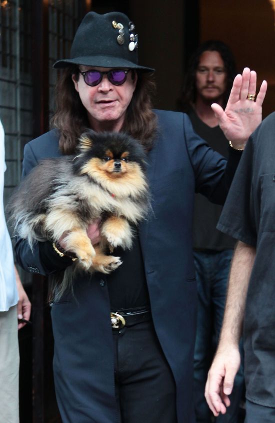 Ojciec heavy metalu z pieskiem na ręku (FOTO)