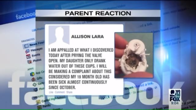 Wszystkie młode matki muszą uważać na te kubki! Wszystkie młode matki muszą uważać na te kubki!